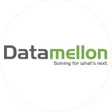 DataMelon